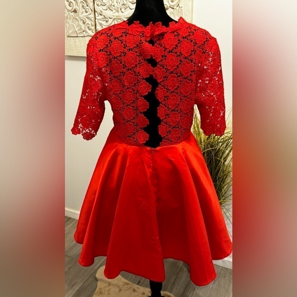Red Lace and Satin Dress - Picture 4 of 12